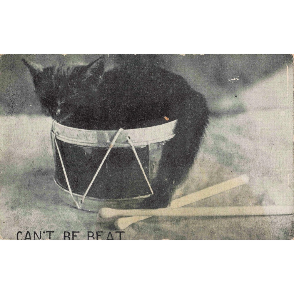 Vtg 1910 Black Cat in Drum Postcard Cant Be Beat PS & Co Appleton WI Used - Picture 1 of 2